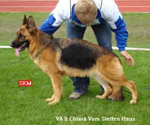 sieger french open sieger french open