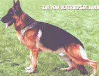 GSD_Bluming.jpg (7210 bytes)
