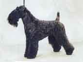 Kerryblue Terrier-DI.jpg (8275 bytes)