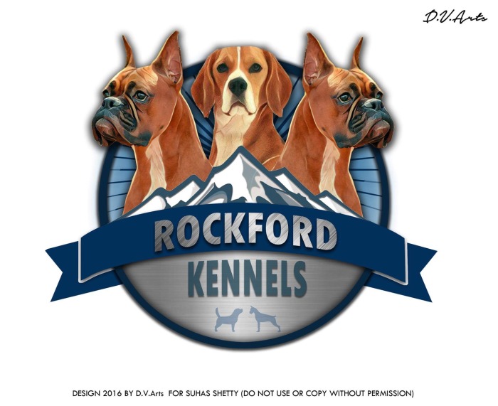 DogsIndia.com - Beagles - Rockford Beagles - Suhas Shetty