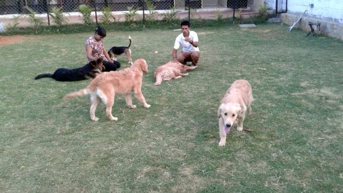 DogsIndia.com - Boarding Facility for Dogs - Petboro, Bangalore