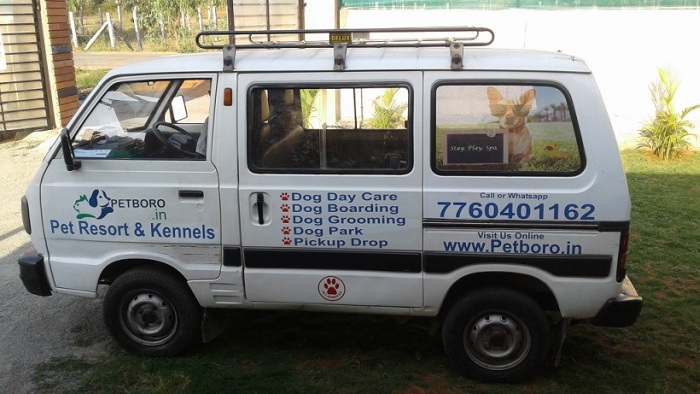 DogsIndia.com - Boarding Facility for Dogs - Petboro, Bangalore