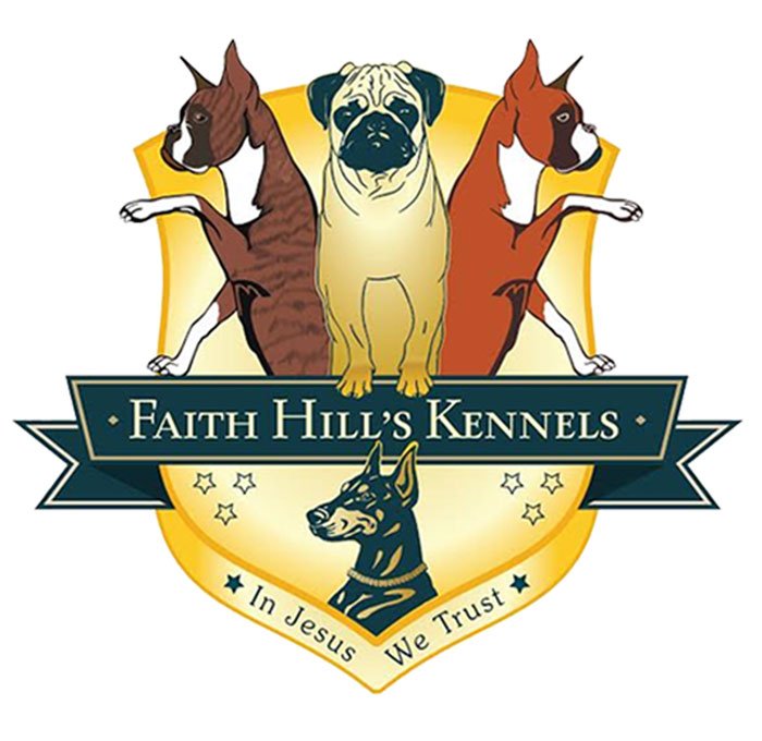 Dog kennels cheap hills district