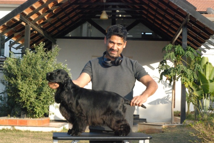 DogsIndia.com - Cocker Spaniel - English - Casagold Kennel - Cherian