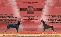 DogsIndia.com - Dobermann - Faith Hill's Kennel - Dr. Sujith