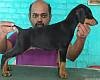 DogsIndia.com - Dobermann Pinscher - Raghu