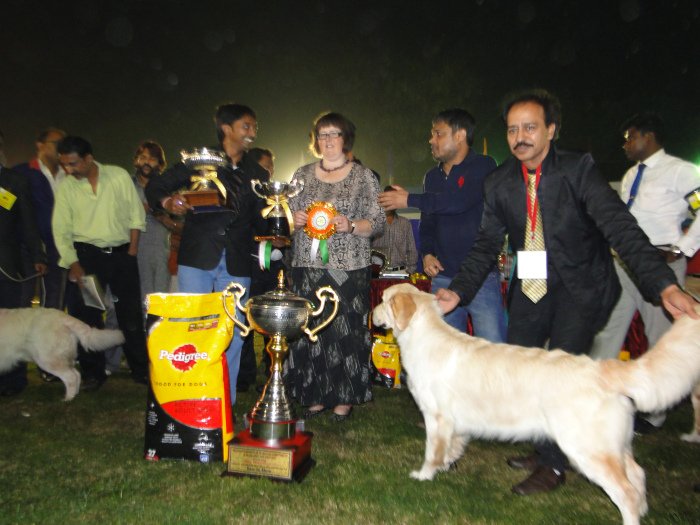 DogsIndia.com - Golden Retriever - Bessies