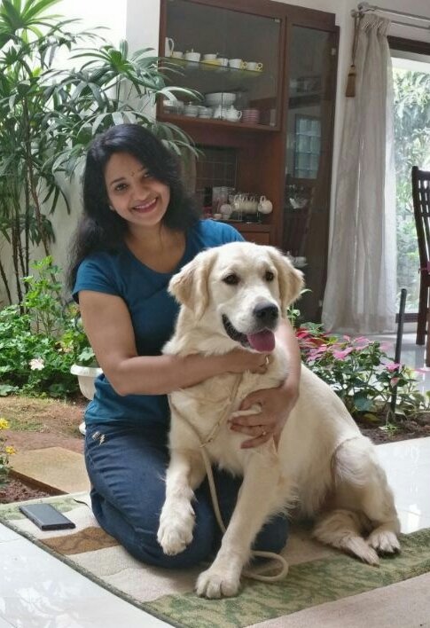 DogsIndia.com - Golden Retriever - Chiming Bells