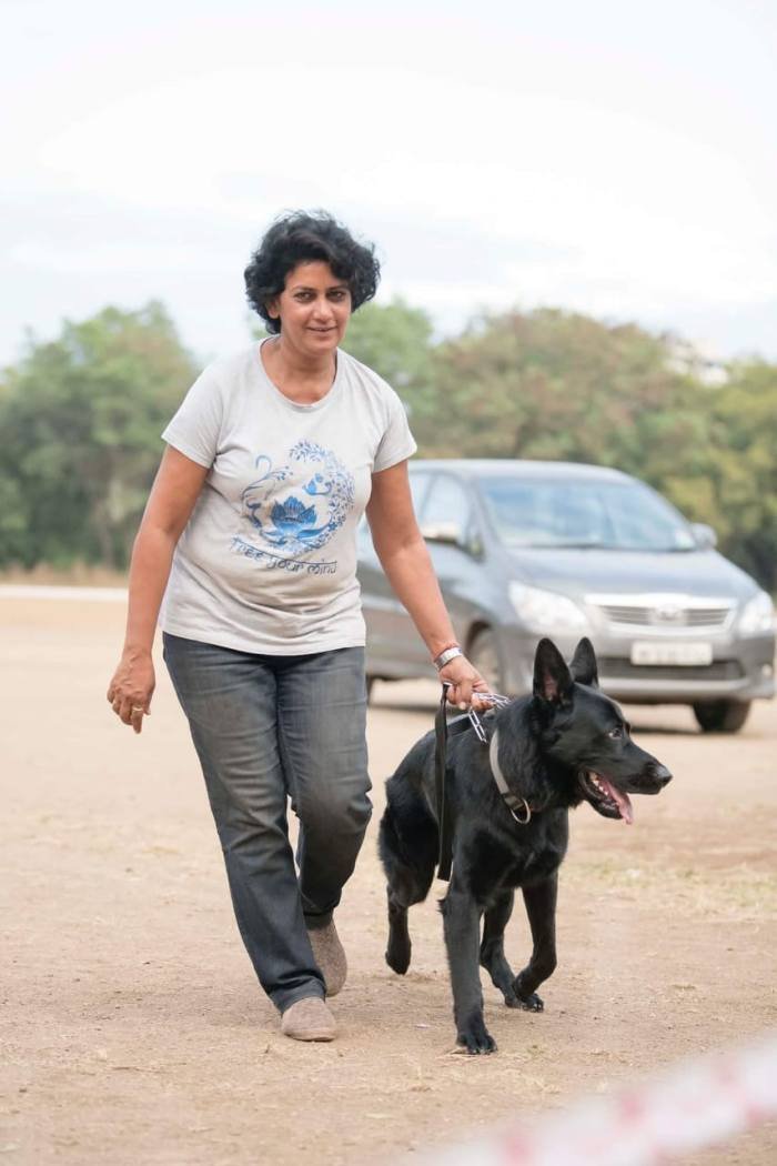 DogsIndia.com - Working GSDs - Meena Kennel