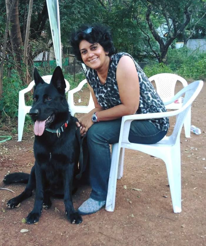 DogsIndia.com - Working GSDs - Meena Kennel