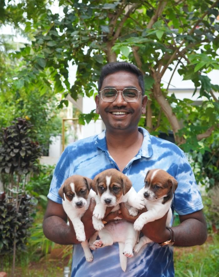 DogsIndia.com - Jack Russell Terrier - Gopikannan