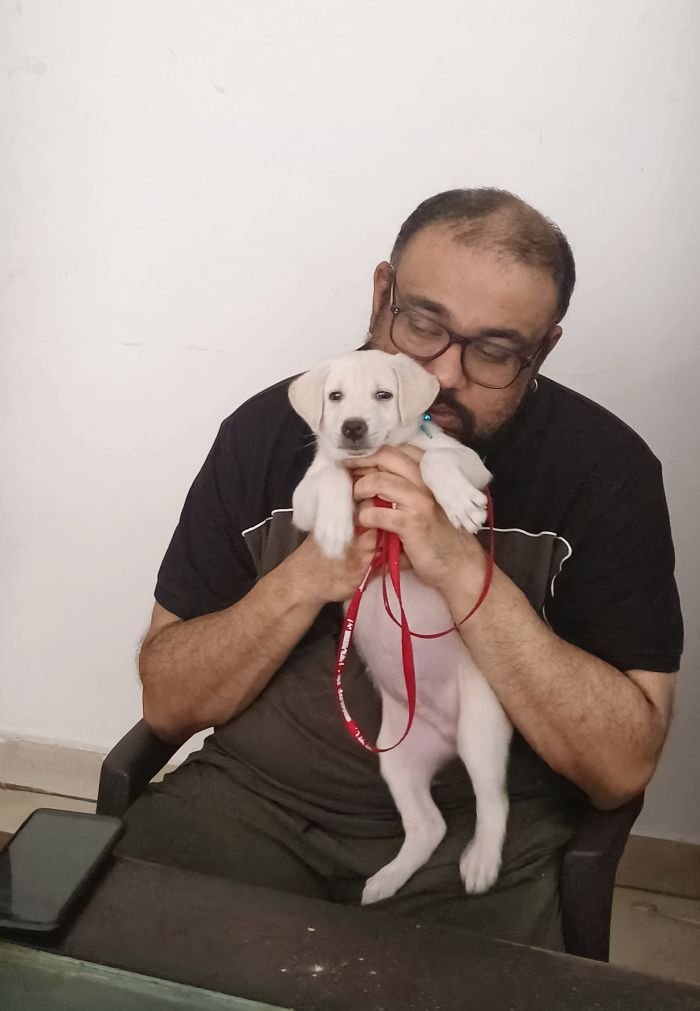 Free For Adoption - Puppy from Latha