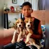 DogsIndia.com - Beagle - Sanrams Santhosh