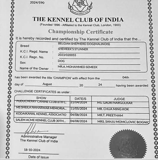 DogsIndia.com - Belgian Malinois- Arvind 
