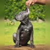 DogsIndia.com - Cane Corso - Lakhan Soni