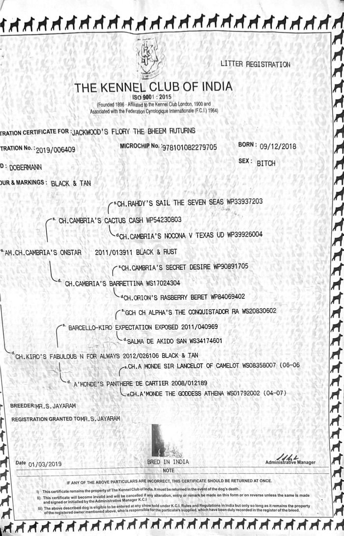 DogsIndia.com - Dobermann - Ajit Kennels, Srihari Gokhale