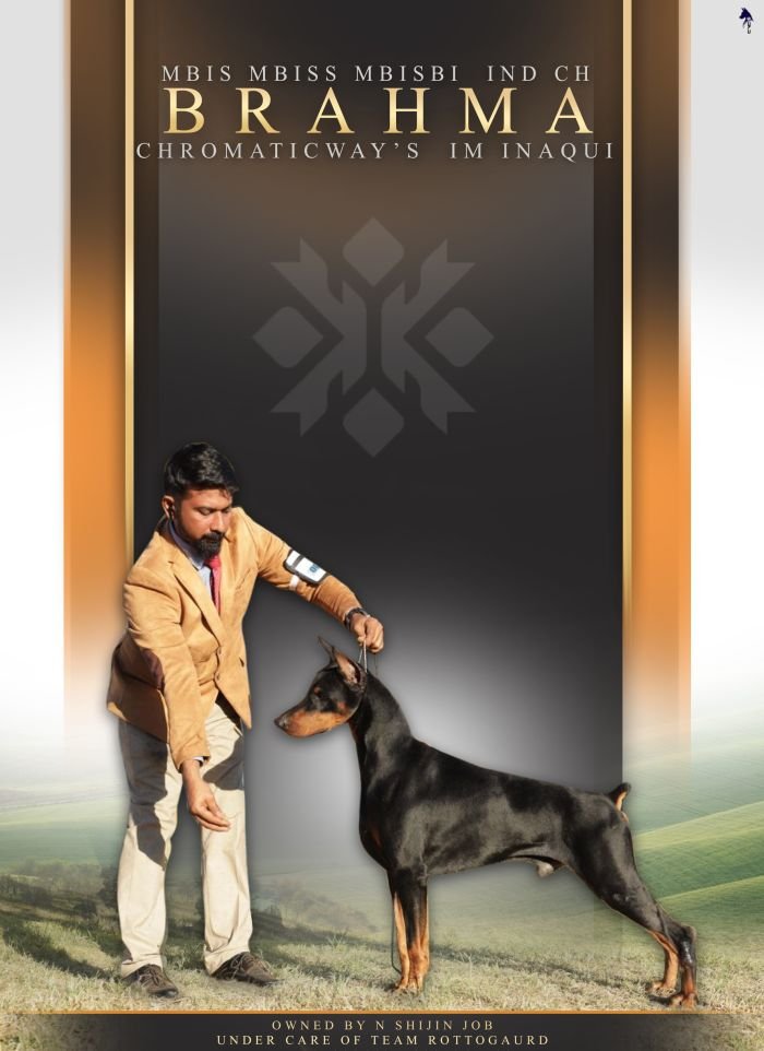 DogsIndia.com - Dobermann - Gopikannan