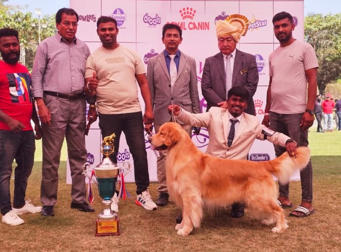 DogsIndia.com Golden Retriever Jayachandra