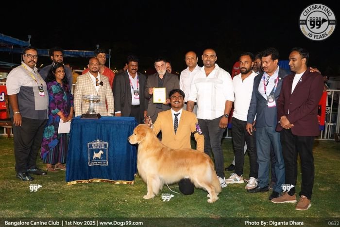 DogsIndia.com  Golden Retriever  Jayachandra