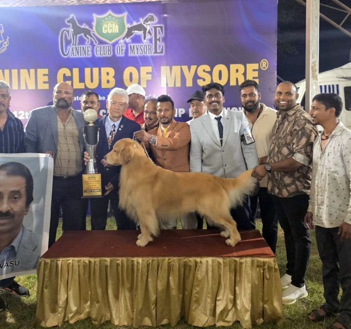 DogsIndia.com  Golden Retriever  Jayachandra