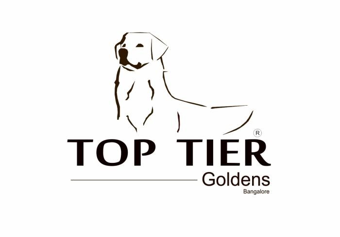 DogsIndia.com - Golden Retriever - Toptier Kennel