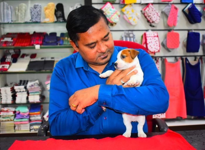 DogsIndia.com  Jack Russell Terrier  Ragos Kennel