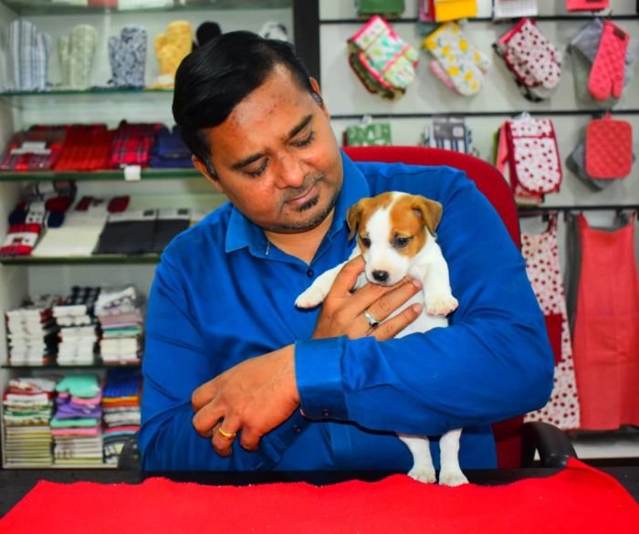 DogsIndia.com Jack Russell Terrier Ragos Kennel