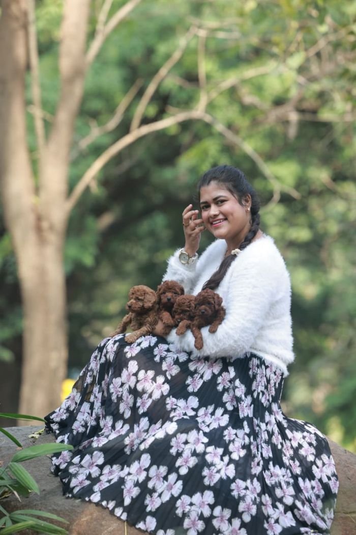 DogsIndia.com - Poodle - Gururaj