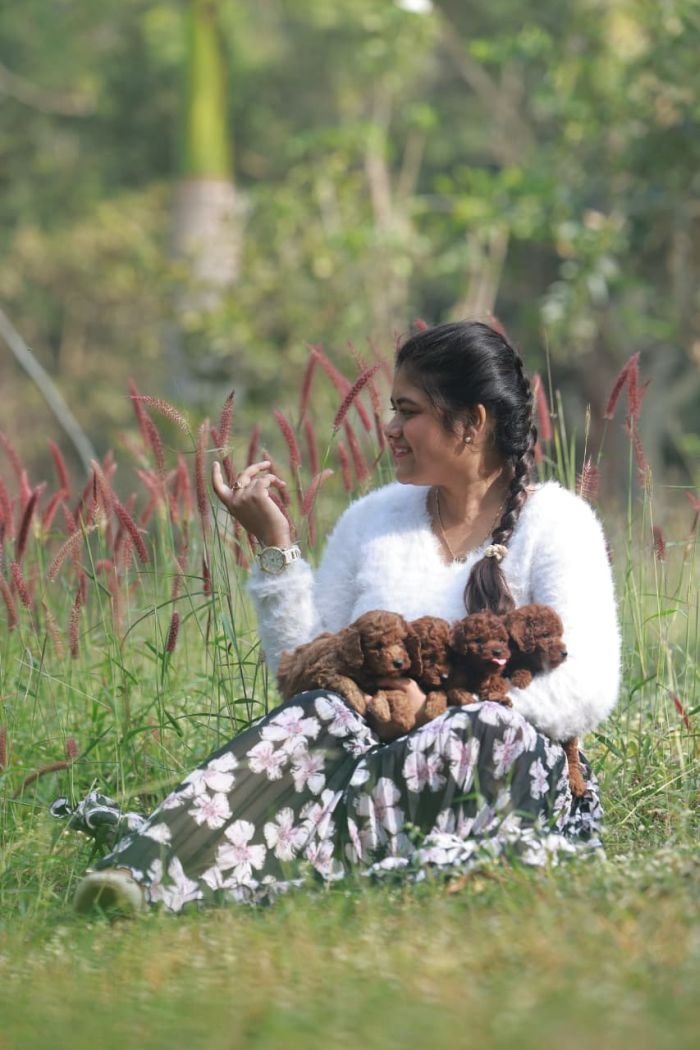 DogsIndia.com - Poodle - Gururaj