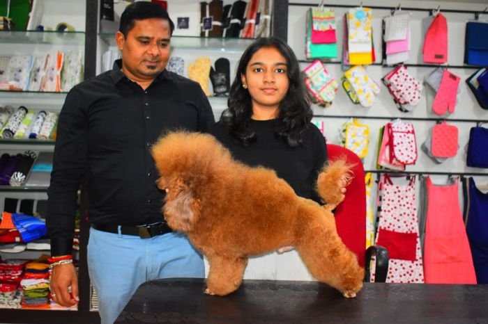 DogsIndia.com - Toy Poodle - Rago's Kennel - Saravanan