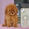 DogsIndia.com - Toy Poodle - Vikram (Shreyas)