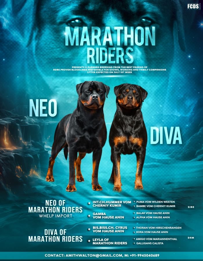 DogsIndia.com - Rottweiler - Marathon Riders
