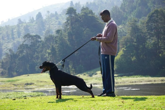 DogsIndia.com - Rottweiler - Marathon Riders